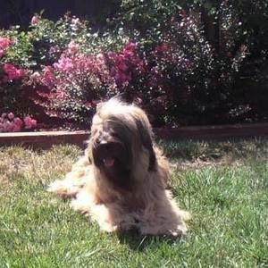 Meet your Posher, Claude